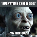 Everytime I See A Dog | *EVERYTIME I SEE A DOG*; “MY PRECIOUS” | image tagged in my precious,everytime i see a dog,dog,lord of the rings,gollum | made w/ Imgflip meme maker