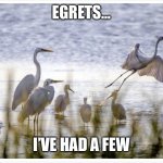 Egrets I’ve had a few template