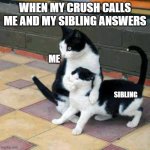 Say Nothing | WHEN MY CRUSH CALLS ME AND MY SIBLING ANSWERS; ME; SIBLING | image tagged in say nothing | made w/ Imgflip meme maker