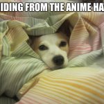 Dog hiding under a blanket | I'M HIDING FROM THE ANIME HATERS | image tagged in dog hiding under a blanket | made w/ Imgflip meme maker