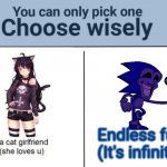 Fun is Infinite | Endless fun
(It's infinite) | image tagged in choose wisely,sonic the hedgehog | made w/ Imgflip meme maker