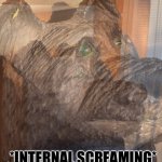 Internal screaming bear meme
