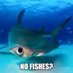 No Fishes? | NO FISHES? | image tagged in no fishes | made w/ Imgflip meme maker