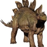 Stegosaurus 2 meme