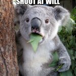 Oh no. | COMMANDER: SHOOT AT WILL; GUY NAMED WILL: | image tagged in surprised koala | made w/ Imgflip meme maker