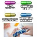 Please release the pills to the community | SUPERPOWER OF CHOICE; MEET GOD WITHOUT DYING; IMMORTAL DOGS IN MINECRAFT; THE ABILITY TO MAKE FORTNITE AND ROBLOX KIDS CALM DOWN | image tagged in blank pills meme | made w/ Imgflip meme maker