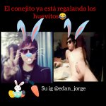 Conejito instagram