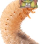 Spongefly Larva meme