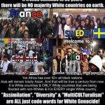 MULTICULTURALISM IS WHITE GENOCIDE