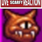 Live Scarfy Reaction