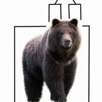 Anatomy of bears meme