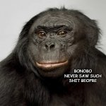 Free Templates for you guys #1 | BONOBO NEVER SAW SUCH SHIT BEOFRE | image tagged in bonobo is smarter | made w/ Imgflip meme maker