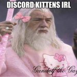 god!! | DISCORD KITTENS IRL | image tagged in gandalf the fabulous | made w/ Imgflip meme maker