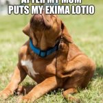 :( | AFTER MY MOM PUTS MY EXIMA LOTION ON | image tagged in scratching dog | made w/ Imgflip meme maker