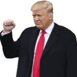 Trump fist with transparency