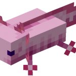 Minecraft Axolotl