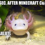 i barely knew they existed before the upd | ME 2 SEC. AFTER MINECRAFT C&C UPD; AXLUTL | image tagged in axolotl,meme man,minecraft | made w/ Imgflip meme maker