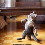 Cool Cat Stroll Meme | HOW YOU BE WALKING WHEN YOU LET THE DOGS OUT | image tagged in memes,cool cat stroll | made w/ Imgflip meme maker
