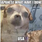 PTSD Chihuahua | JAPANESE WHAT HAVE I DONE USA | image tagged in ptsd chihuahua | made w/ Imgflip meme maker