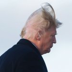 The back of trump's head