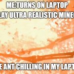 clever title | ME:TURNS ON LAPTOP; TO PLAY ULTRA REALISTIC MINECRAFT; THE ANT CHILLING IN MY LAPTOP | image tagged in burning skelton fence | made w/ Imgflip meme maker