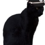 black cat AMT officer