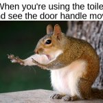 Whoa Now! | When you're using the toilet and see the door handle move | image tagged in whoa now squirrel,memes,unfunny,why are you reading this | made w/ Imgflip meme maker