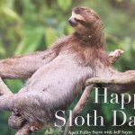 Happy Sloth Day