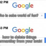 must i name this | Who is sebs world of fun? how to delete things permantley from your brain | image tagged in google 11 minutes later | made w/ Imgflip meme maker