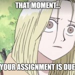 Kaya from One Piece meme | THAT MOMENT... YOU FORGOT YOUR ASSIGNMENT IS DUE TOMORROW. | image tagged in kaya from one piece anime | made w/ Imgflip meme maker