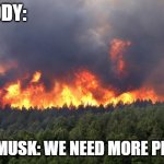 Climate change | NOBODY:; ELON MUSK: WE NEED MORE PEOPLE! | image tagged in forest fire | made w/ Imgflip meme maker