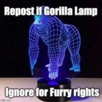 no frurry rights