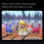 Nothing feels better than the inside of a cat meme