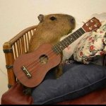 CAPY UKULELE