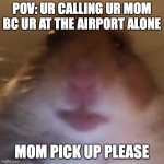 MOM COME PICK ME UP IM SCARED | POV: UR CALLING UR MOM BC UR AT THE AIRPORT ALONE; MOM PICK UP PLEASE | image tagged in staring hamster | made w/ Imgflip meme maker