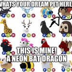 Adopt me dream pets <3 | WHATS YOUR DREAM PET HERE? THIS IS MINE! A NEON BAT DRAGON | image tagged in adopt me pets | made w/ Imgflip meme maker