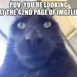 It's true tho | POV: YOU'RE LOOKING AT THE 42ND PAGE OF IMGFLIP | image tagged in cat pov | made w/ Imgflip meme maker