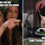 Cat, upset woman, | WHO DO YOU THINK YOU ARE TELLING ME TO PAWS FOR THE CAUSE; DON'T LIKE IT? I GOT SOME TISSUES FOR YOUR ISSUES. | image tagged in girls vs cat | made w/ Imgflip meme maker
