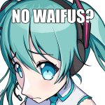 no waifus?