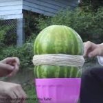 Rubber band watermelon