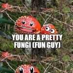 mushroom joke | WHAT DID ONE MUSHROOM SAY TO THE OTHER? YOU ARE A PRETTY FUNGI (FUN GUY) | image tagged in mushroom joke,funny,jokes | made w/ Imgflip meme maker