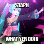 staph what yer doin