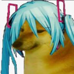 miku doge