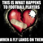 Football players do this lol! | THIS IS WHAT HAPPENS TO FOOTBALL PLAYERS; WHEN A FLY LANDS ON THEM | image tagged in broken heart | made w/ Imgflip meme maker