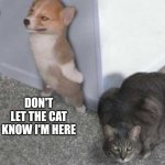 The puppy hiding from the kitty | SHHH; DON'T LET THE CAT KNOW I'M HERE | image tagged in scary cat,cat,puppy | made w/ Imgflip meme maker