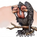 Two-headed vulture