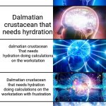 Simple is best | Dalmatian Dalmatian crustacean Dalmatian crustacean that needs hyrdration dalmatian crustacean That needs hydration doing calculations on th | image tagged in 7-tier expanding brain | made w/ Imgflip meme maker
