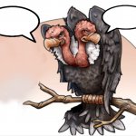 Double Vulture speech bubbles