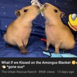 What If we kissed on the among us blanket... | image tagged in memes,among us,capybara | made w/ Imgflip meme maker