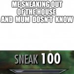 sneak 100